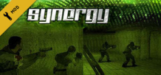 Synergy